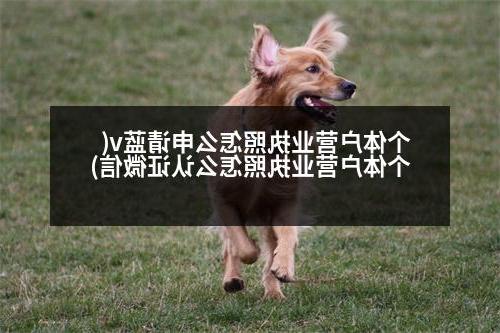 个体户营业执照怎么申请蓝v(个体户营业执照怎么认证微信)